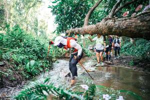 BIB: 
                            <button type="button" onclick="openModal(25515502)" class="btn btn-primary btn-sm float-right btn-popup" data-toggle="modal" data-target=".modal-high-quality">
                        <i class="fas fa-shopping-cart"></i> Add to Cart
                    </button>
                                            <button type="button" onclick="isThisMe(25515502, true)" class="btn btn-success btn-sm float-right btn-popup btn-isme hidden" data-toggle="tooltip" data-placement="bottom" title="นี่คือรูปของคุณใช่ไหม คลิกที่นี่เพื่อเอาเข้าอัลบั้ม">
                        <i class="fas fa-plus"></i> Add to album
                    </button>
                    <button type="button" onclick="isThisMe(25515502, false)" class="btn btn-warning btn-sm float-right btn-popup btn-isnotme hidden">
                        <i class="fas fa-ban"></i> Remove from album
                    </button>